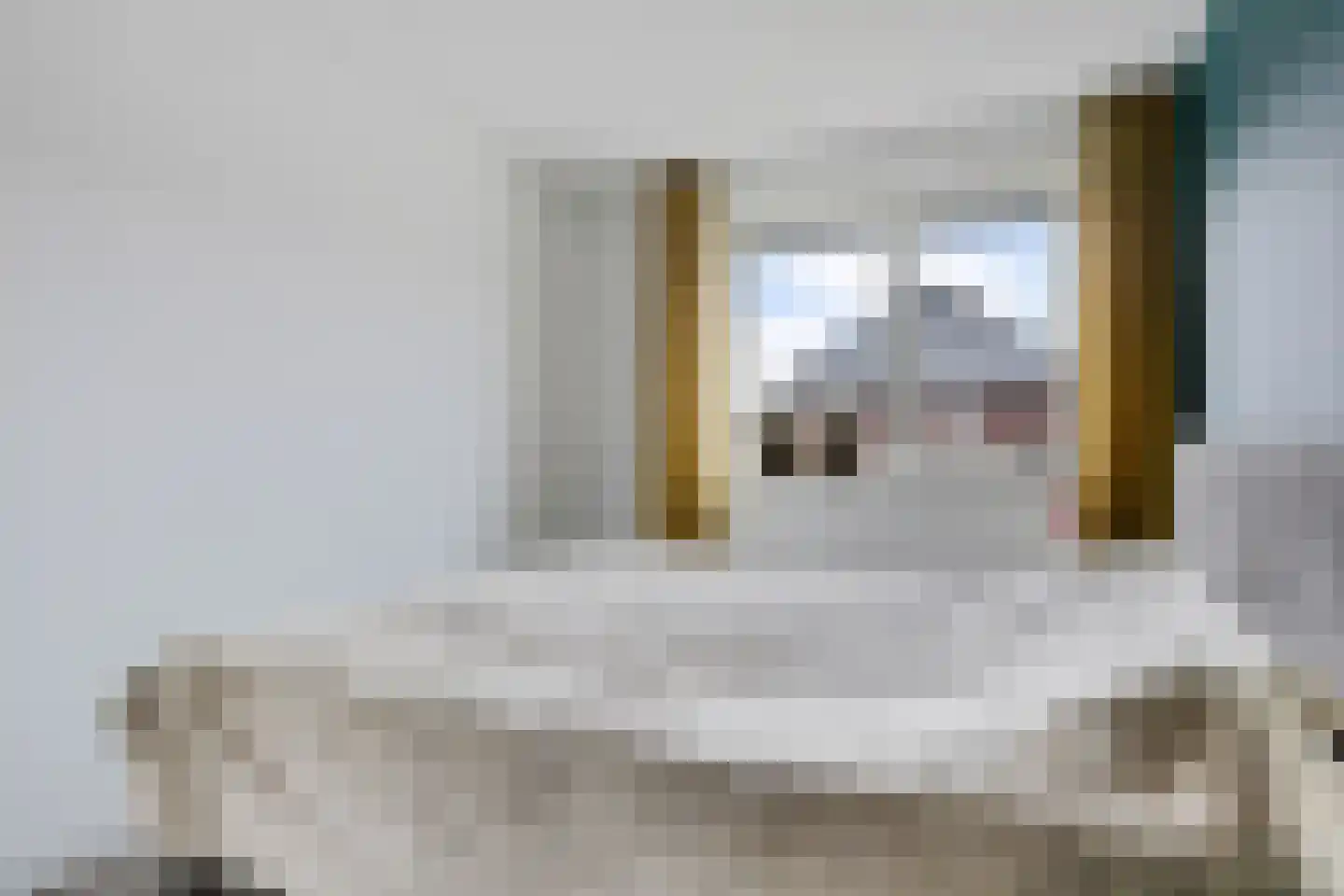 Planeet 23 Klazienaveen thumbnail 21