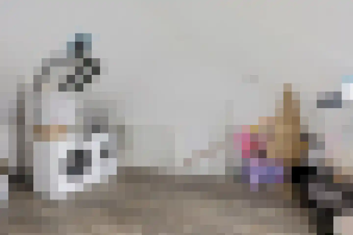 Planeet 23 Klazienaveen thumbnail 30