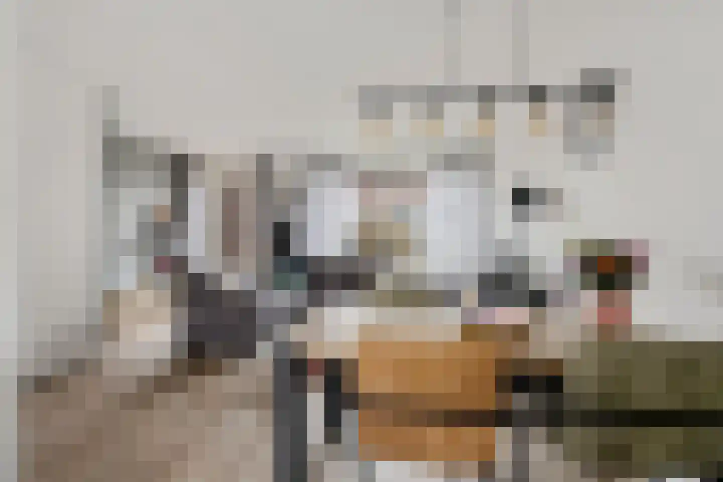 Planeet 23 Klazienaveen thumbnail 8