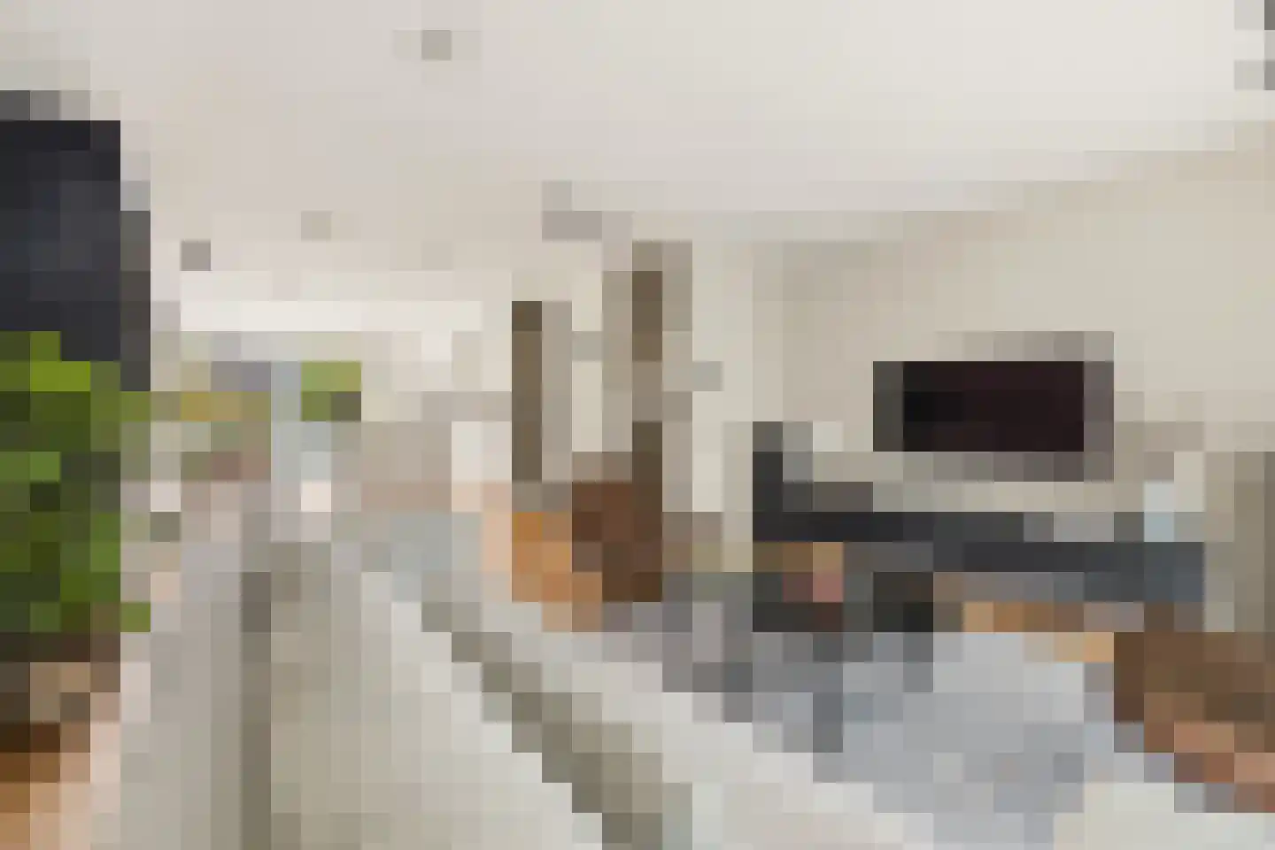 Planeetkade 12 Den Haag thumbnail 15