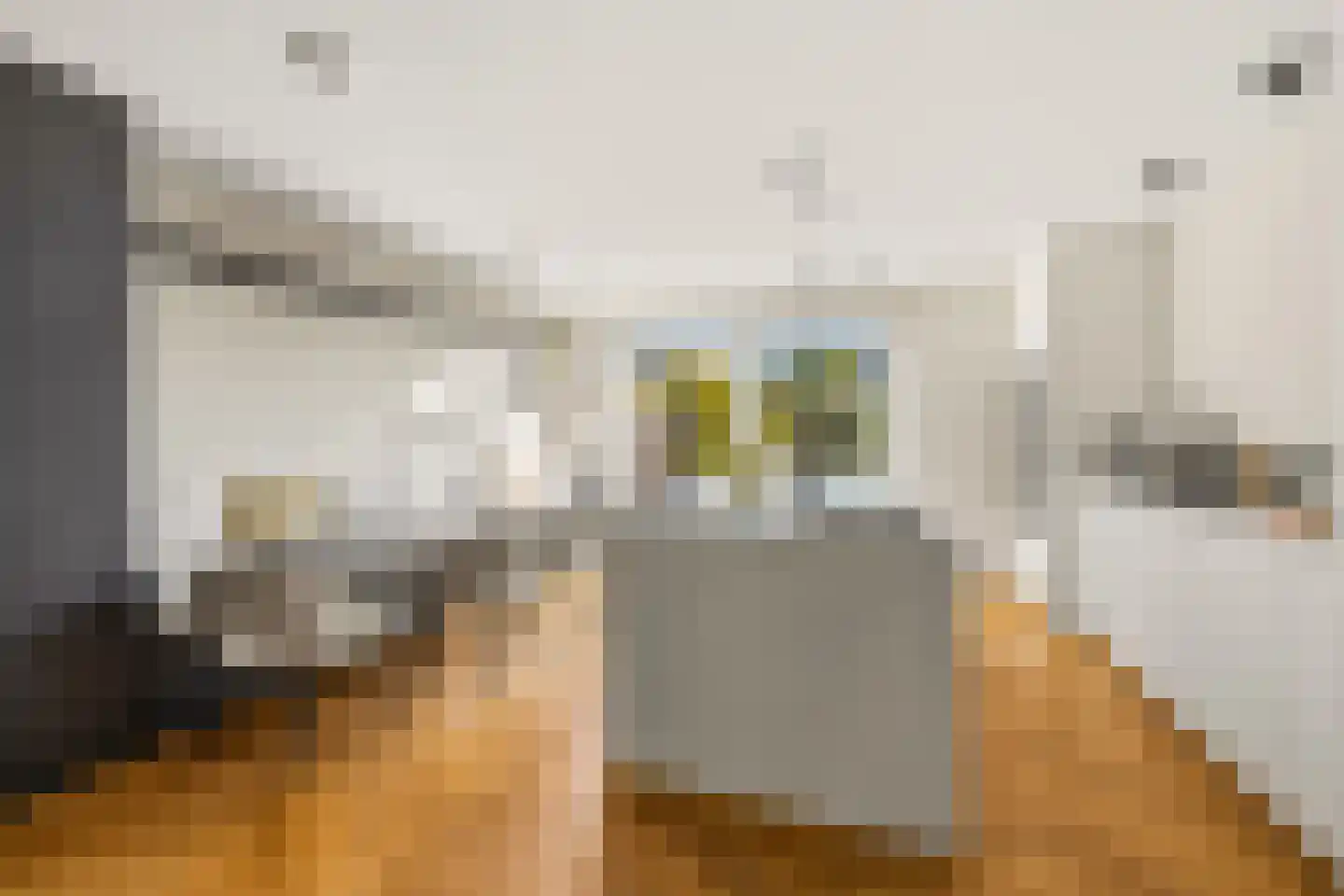 Planeetkade 12 Den Haag thumbnail 5