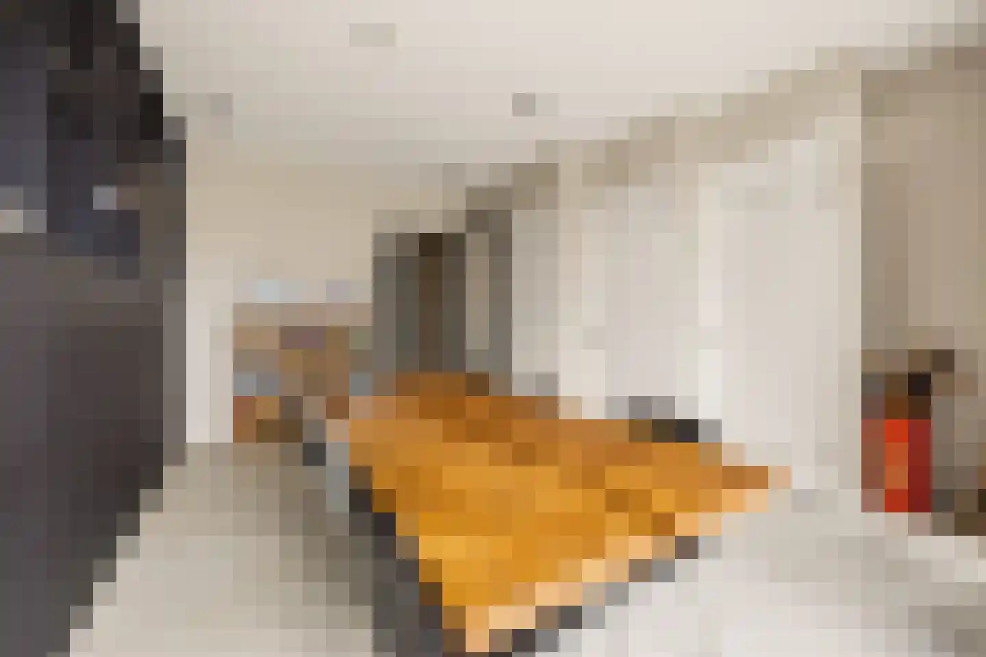 Planeetkade 12 Den Haag thumbnail 9