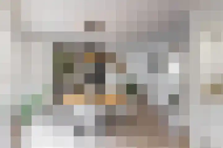 Planeetstraat 1 Geleen thumbnail 13