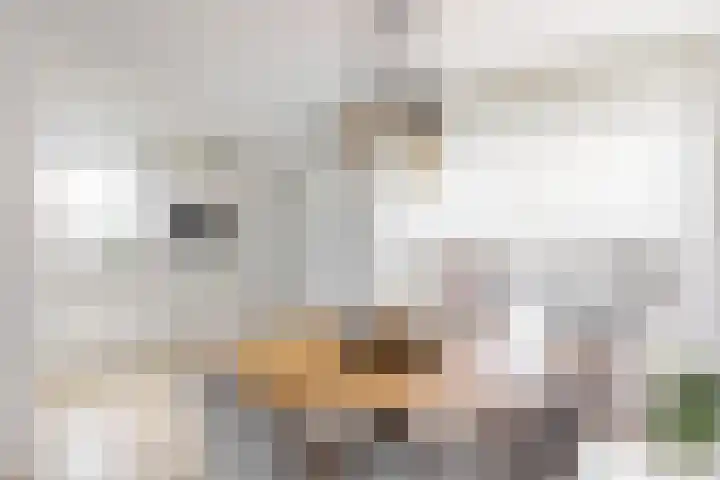 Planeetstraat 1 Geleen thumbnail 8