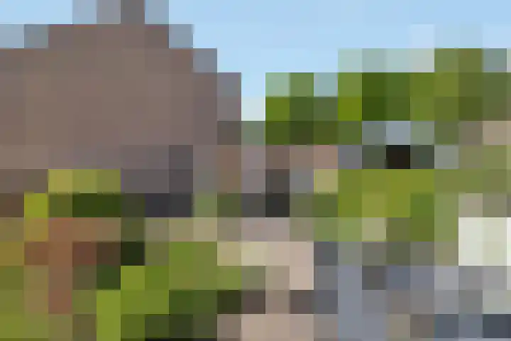 Planetenbaan 13 IJsselstein thumbnail 48