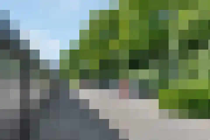 Planetenbaan 13 IJsselstein thumbnail 54