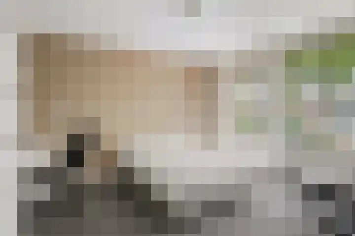 Planetenbaan 154 Bilthoven thumbnail 24
