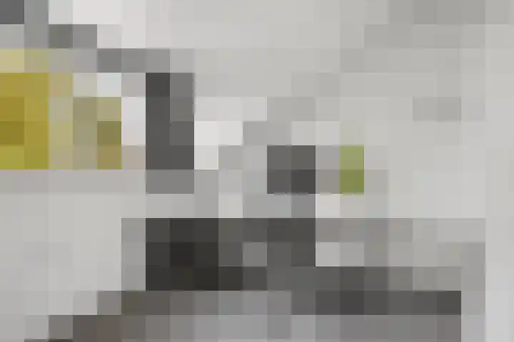 Planetenbaan 154 Bilthoven thumbnail 34