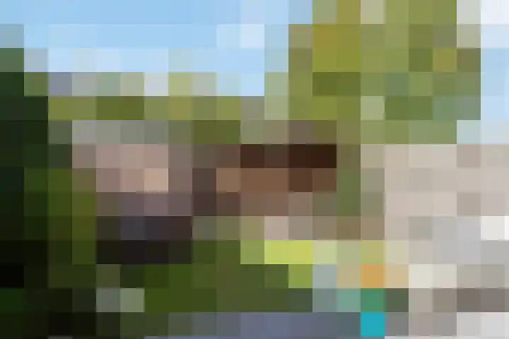 Planetenbaan 154 Bilthoven thumbnail 39