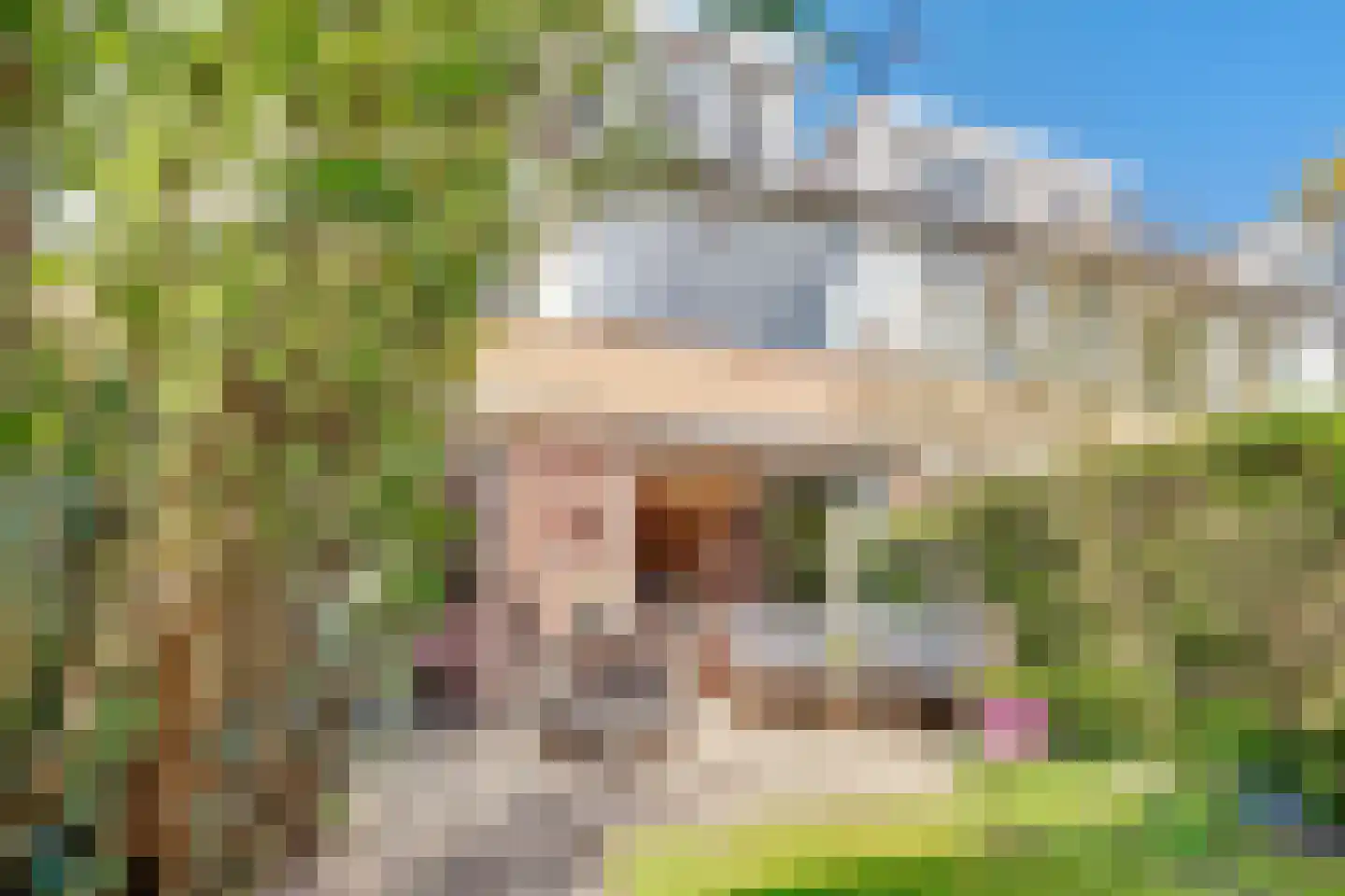 Planetenbaan 645 Bilthoven thumbnail 36