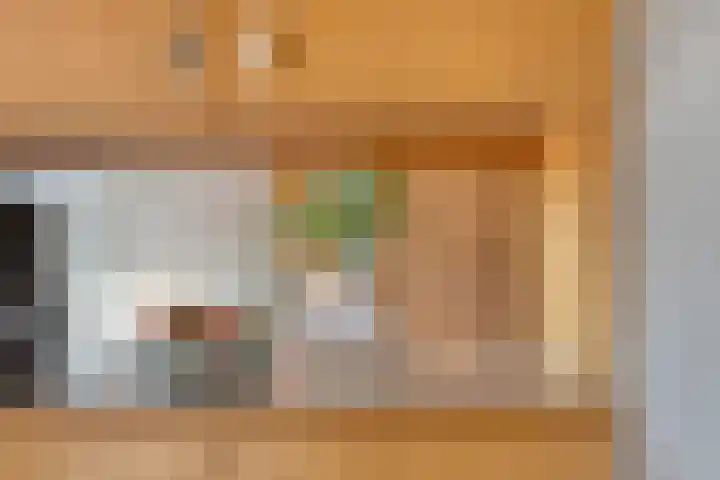 Planetenbaan 663 Bilthoven thumbnail 8
