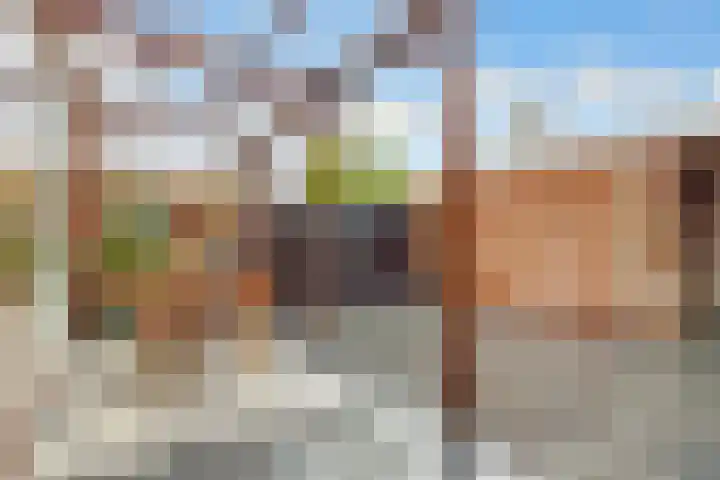 Planetenbaan 673 Bilthoven thumbnail 38