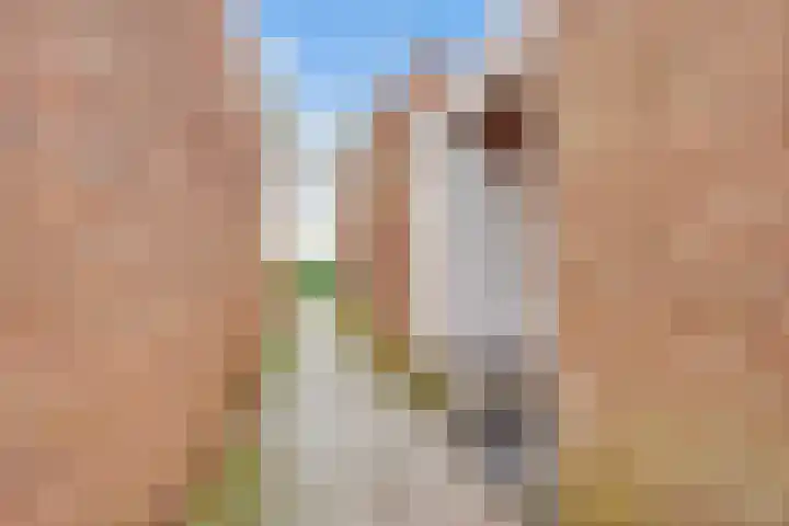 Planetenbaan 673 Bilthoven thumbnail 41