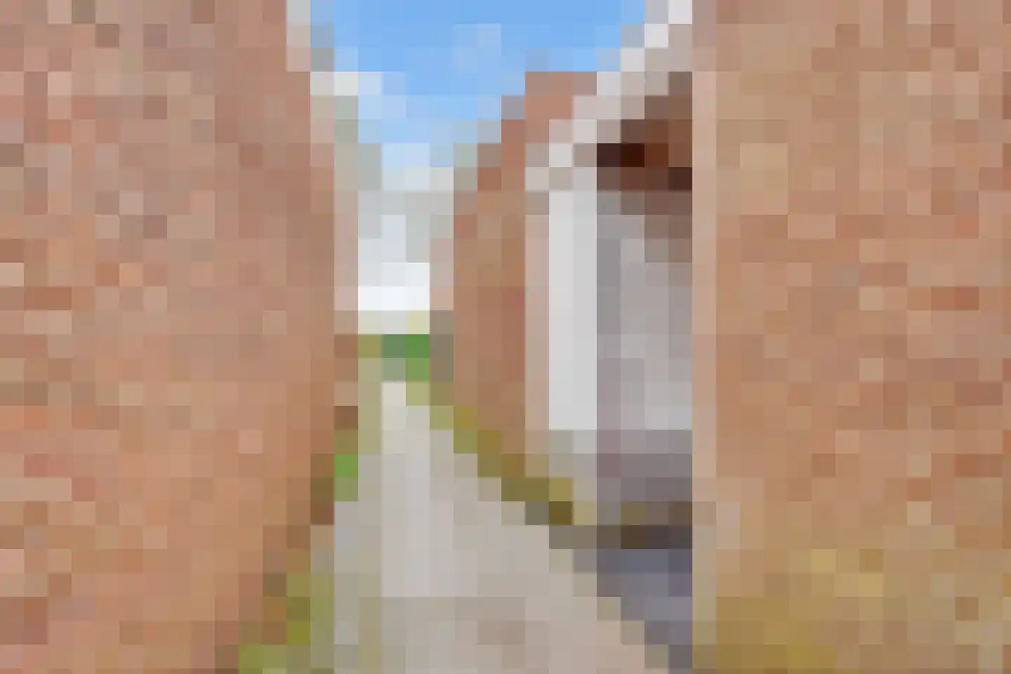 Planetenbaan 673 Bilthoven thumbnail 41