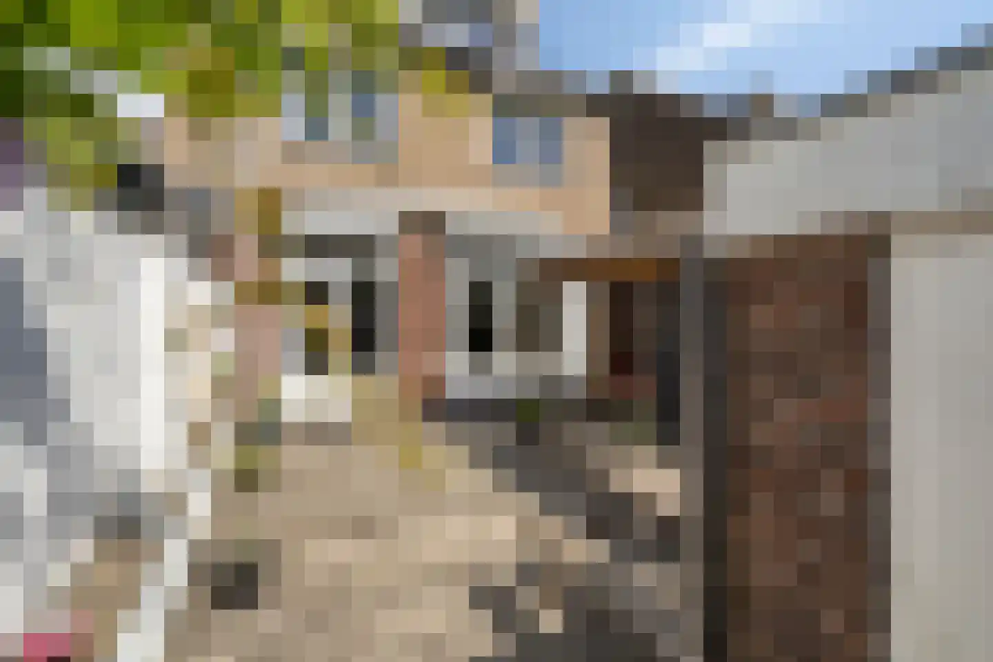 Planetenhof 79 Maastricht thumbnail 13