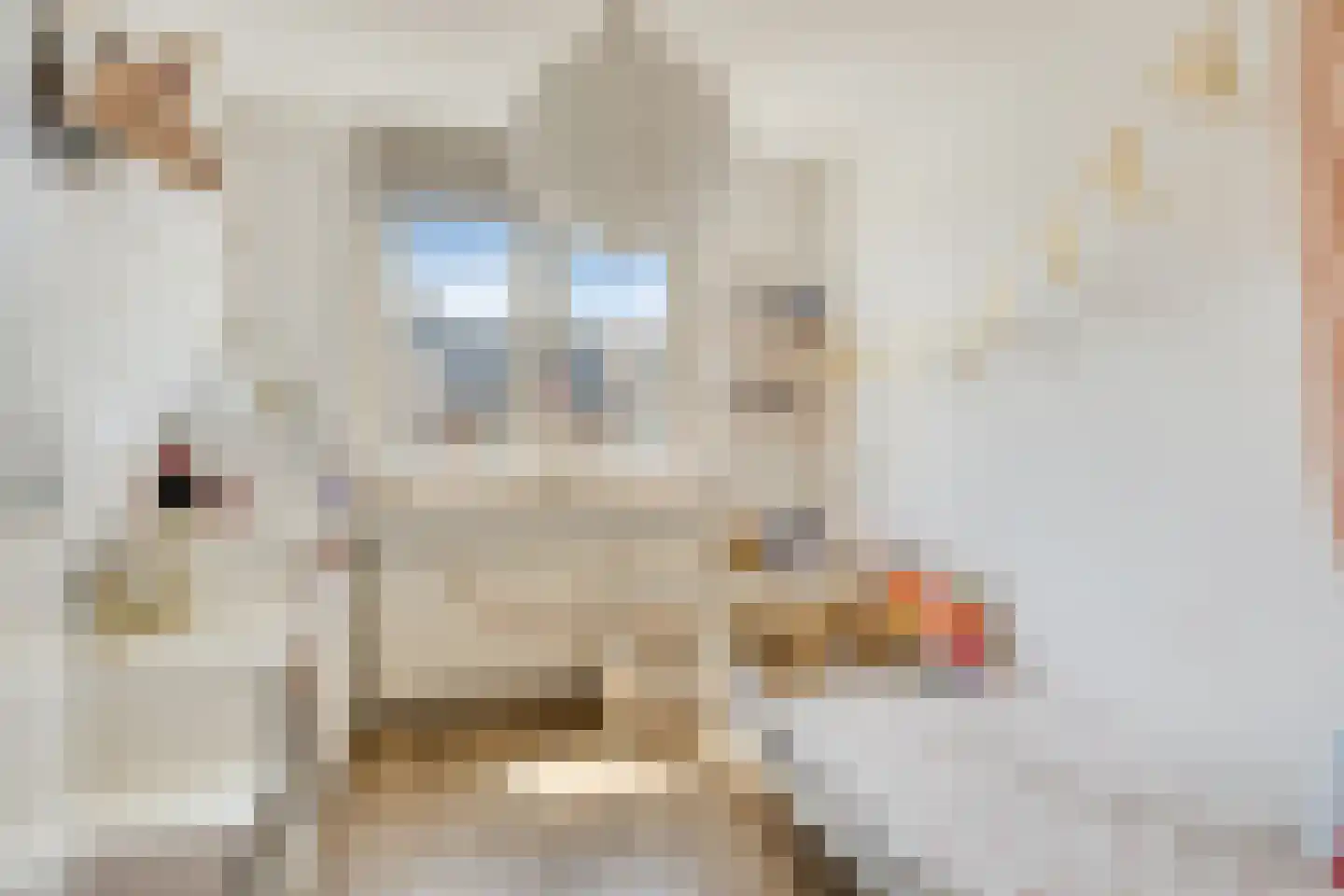Planetenhof 79 Maastricht thumbnail 28