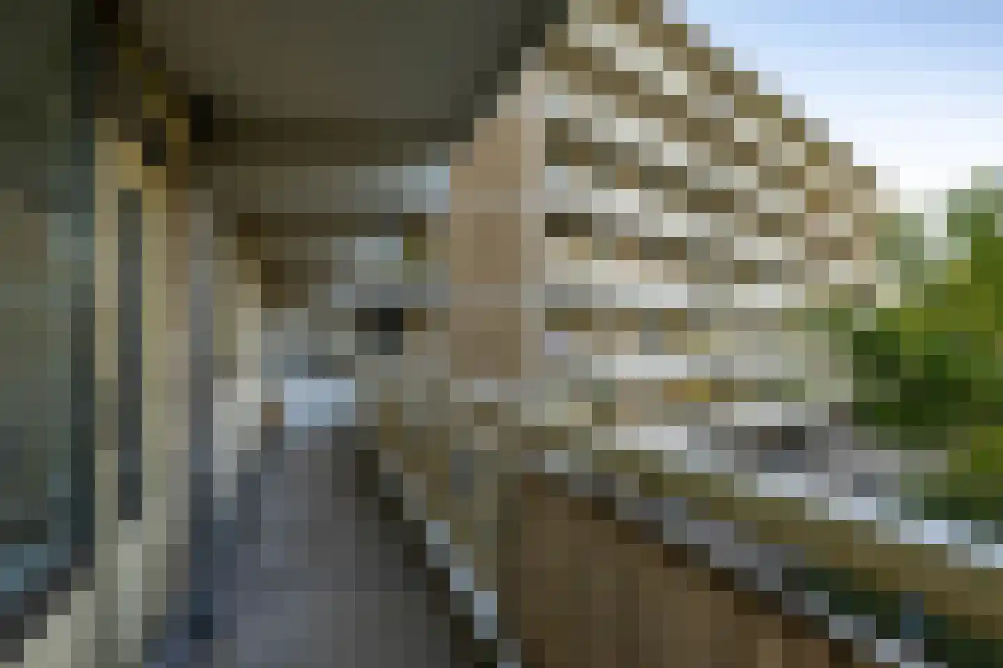 Planetenlaan 109 Groningen thumbnail 16