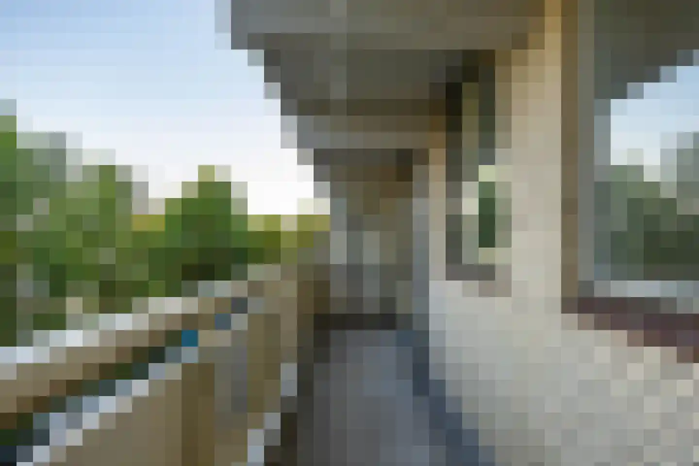 Planetenlaan 109 Groningen thumbnail 4