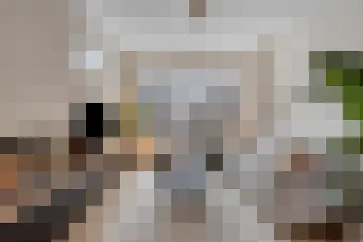 Planetenlaan 11 Wieringerwerf thumbnail 12