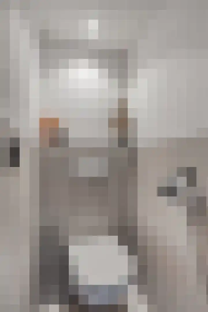 Planetenlaan 11 Wieringerwerf thumbnail 24