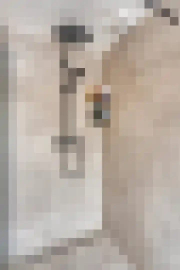 Planetenlaan 11 Wieringerwerf thumbnail 29