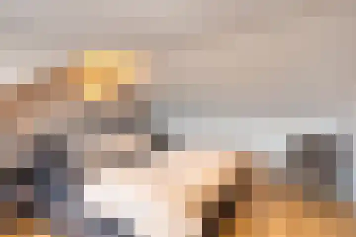 Planetenlaan 11 Wieringerwerf thumbnail 33