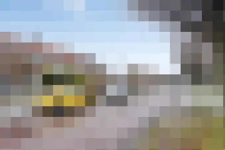 Planetenlaan 11 Wieringerwerf thumbnail 6
