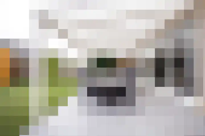 Planetenlaan 119 Assen thumbnail 38