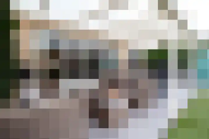 Planetenlaan 119 Assen thumbnail 4