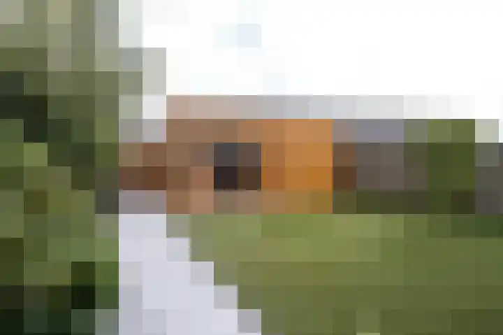 Planetenlaan 119 Assen thumbnail 41
