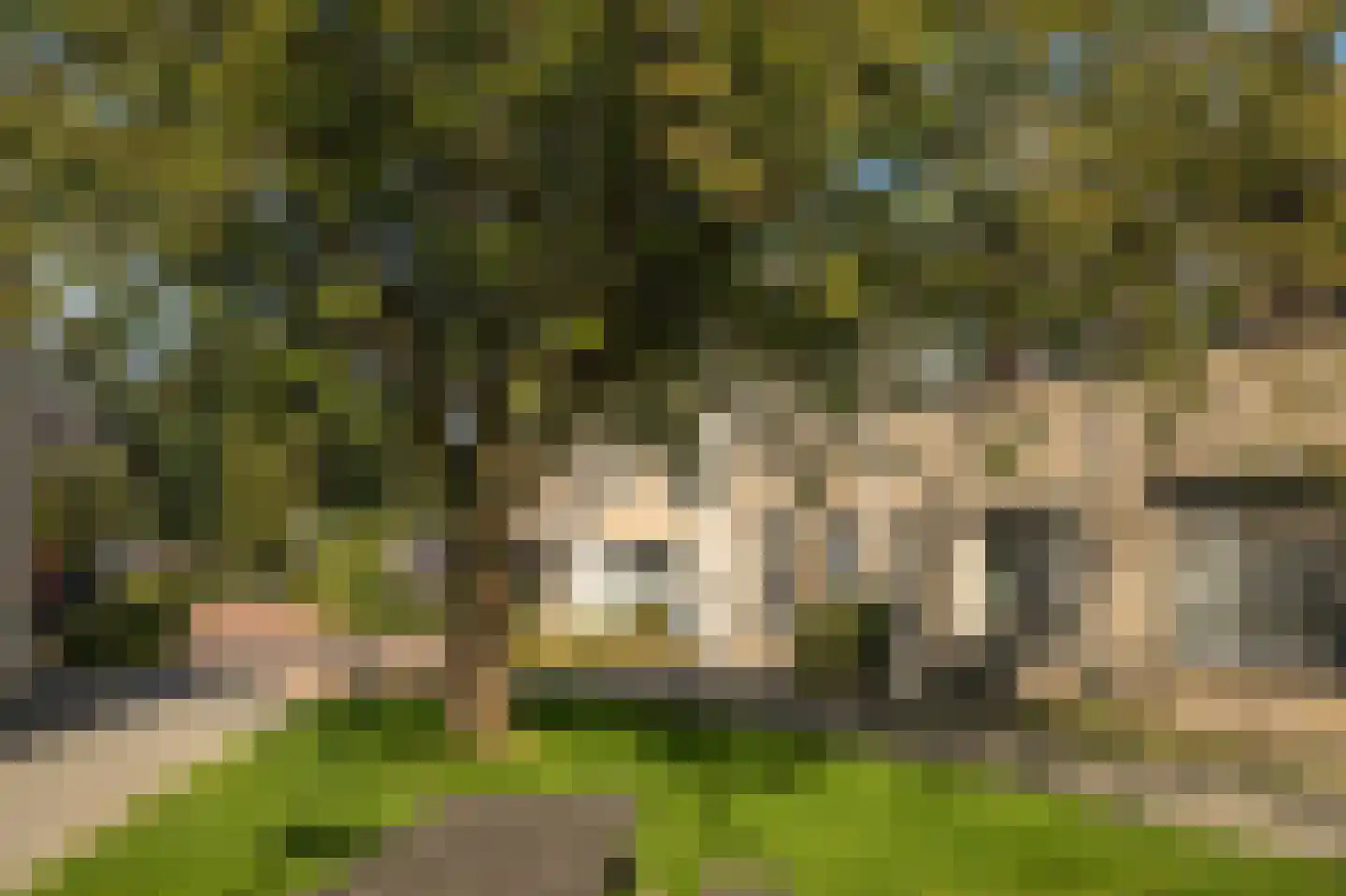 Planetenlaan 119 Assen thumbnail 8