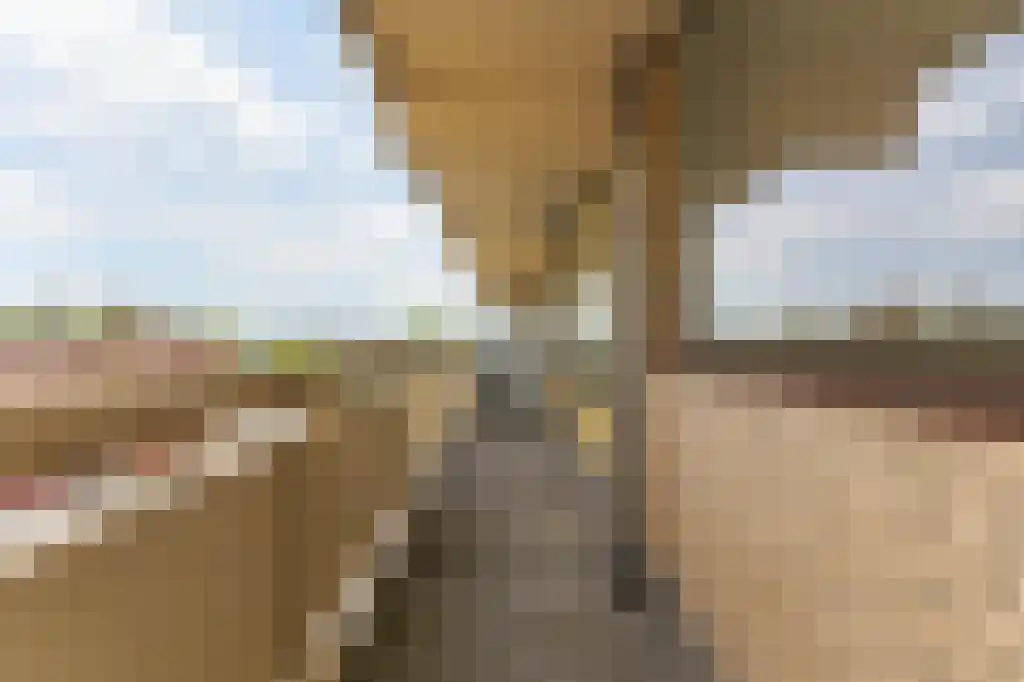 Planetenlaan 123 Groningen thumbnail 11
