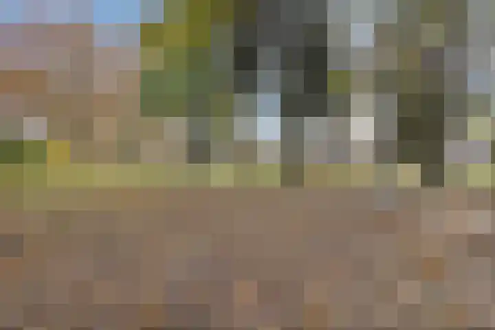 Planetenlaan 135 Veldhoven thumbnail 38