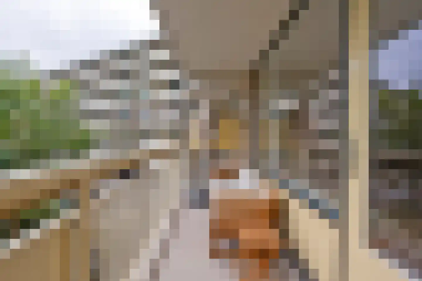 Planetenlaan 145 Groningen thumbnail 10
