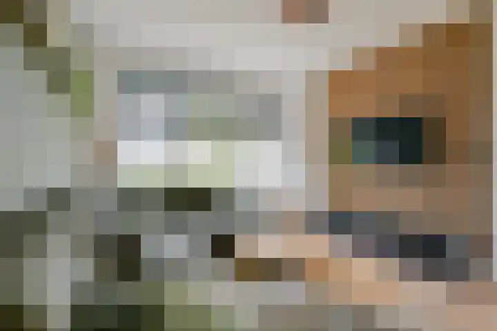Planetenlaan 15 Wieringerwerf thumbnail 9