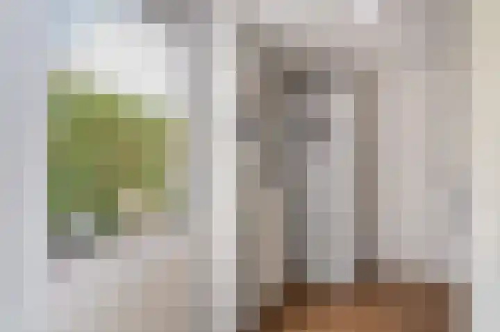 Planetenlaan 152 Assen thumbnail 24