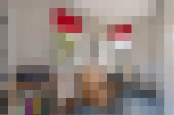 Planetenlaan 152 Assen thumbnail 30