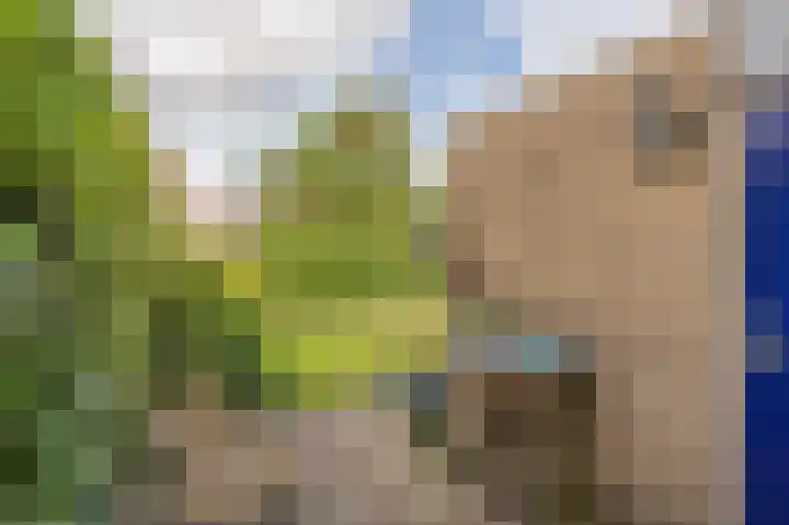Planetenlaan 152 Assen thumbnail 37