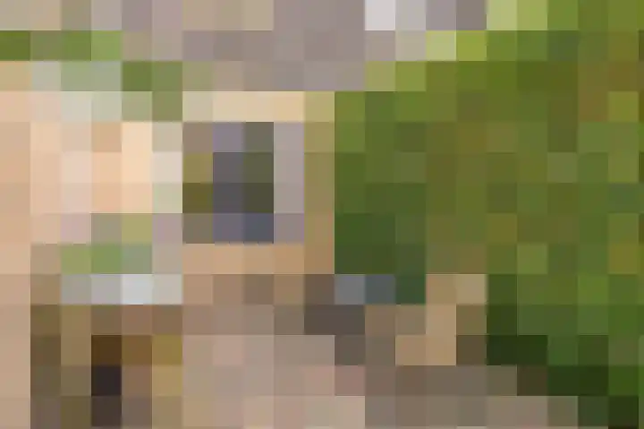 Planetenlaan 152 Assen thumbnail 38
