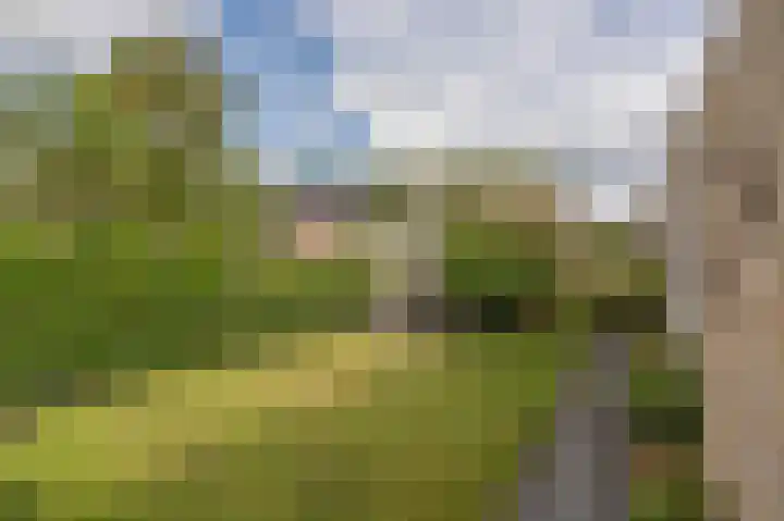 Planetenlaan 152 Assen thumbnail 39