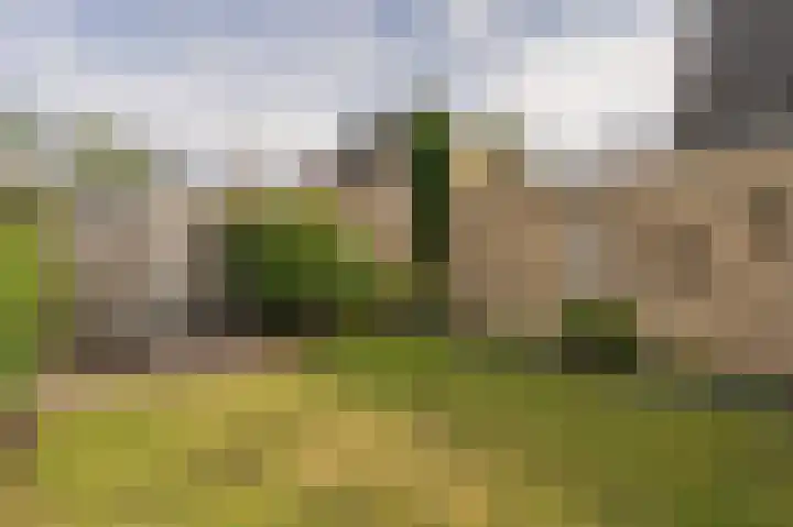 Planetenlaan 152 Assen thumbnail 40