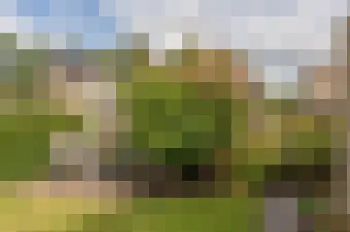 Planetenlaan 152 Assen thumbnail 43