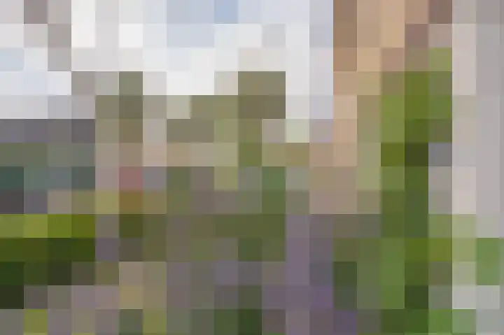 Planetenlaan 152 Assen thumbnail 9