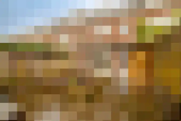Planetenlaan 156 Haarlem thumbnail 31