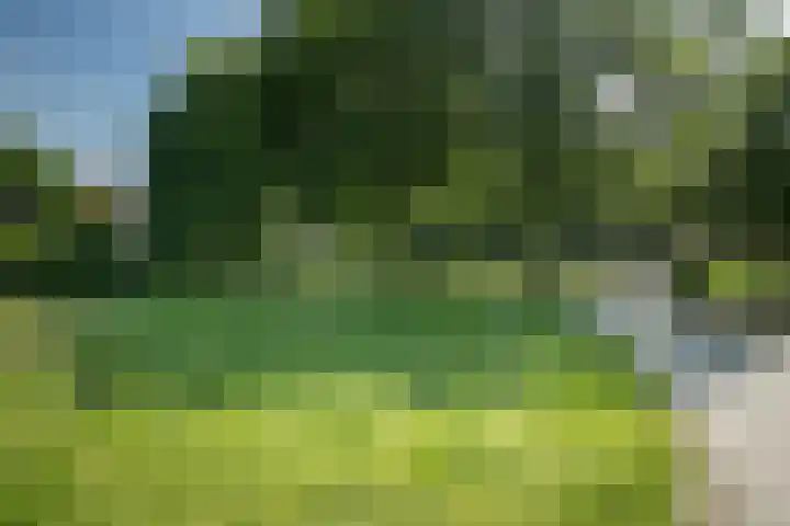 Planetenlaan 156 Haarlem thumbnail 38