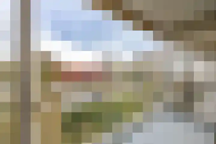 Planetenlaan 177 Groningen thumbnail 12