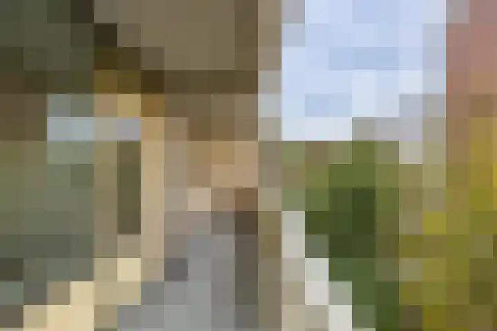 Planetenlaan 177 Groningen thumbnail 13