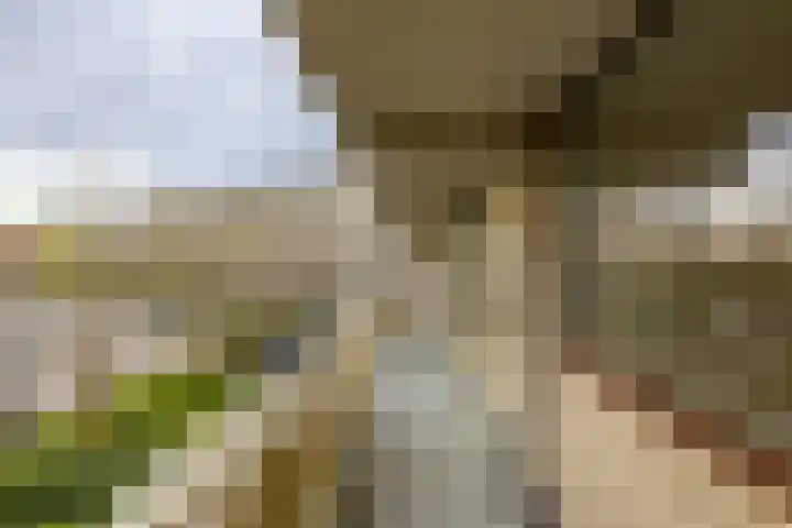 Planetenlaan 177 Groningen thumbnail 15