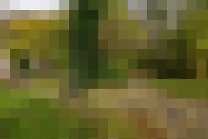 Planetenlaan 177 Groningen thumbnail 29