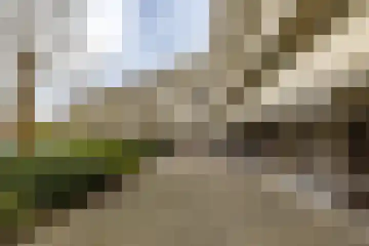 Planetenlaan 177 Groningen thumbnail 5